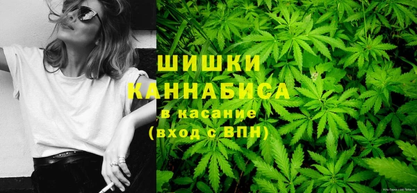 мдпв Тавда