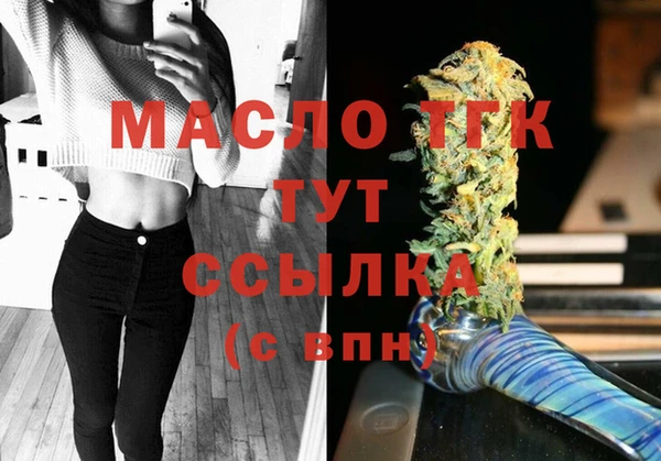 мдпв Тавда