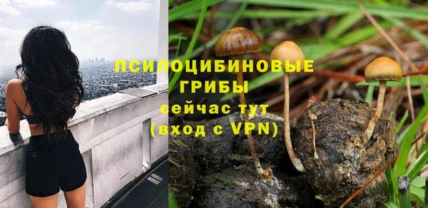 а пвп мука Вязьма