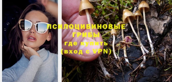 мдпв Тавда